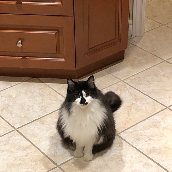 Meet your Posher, Luisa - Picture 7 of 13